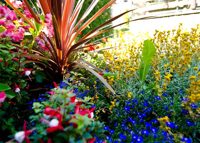 Отель Haus Andrea